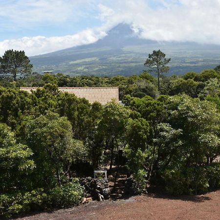 Adega Mourato Villa Bandeiras Luaran gambar